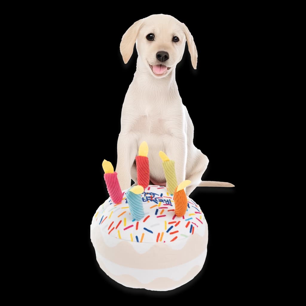 Puppy Training Toys - 5 Pieces