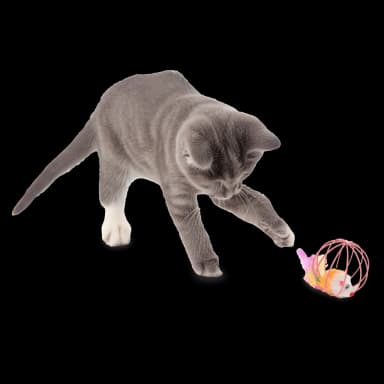 Cat Toy Set - 24 Pieces with T-Tunnel