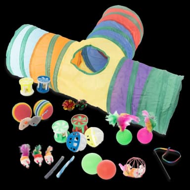 Cat Toy Set - 24 Pieces with T-Tunnel