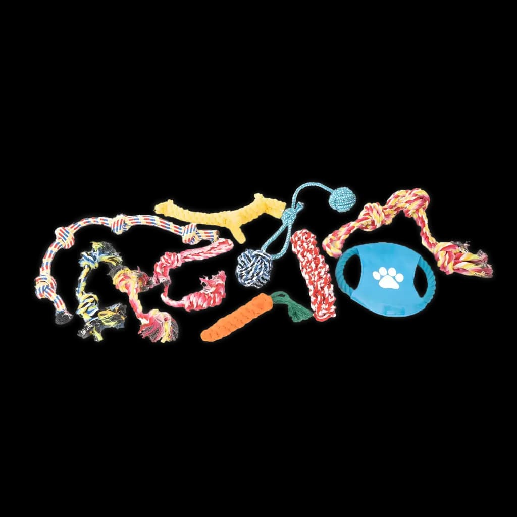 Dog Toy Set - 11 Pieces