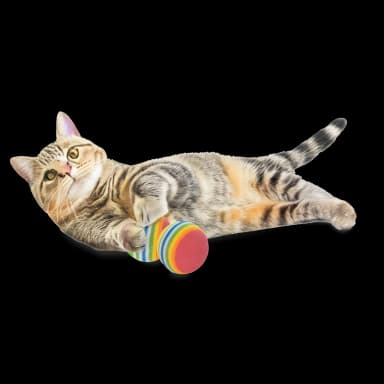 Cat Toy Set - 24 Pieces