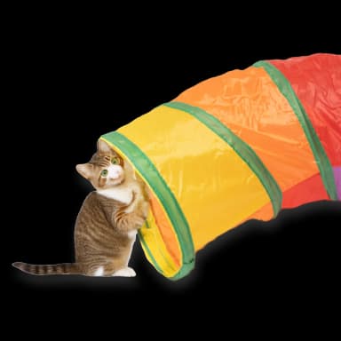Cat Toy Set - 24 Pieces
