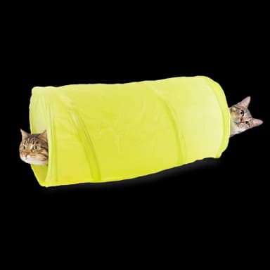 Cat Toy Set - 21 Pieces