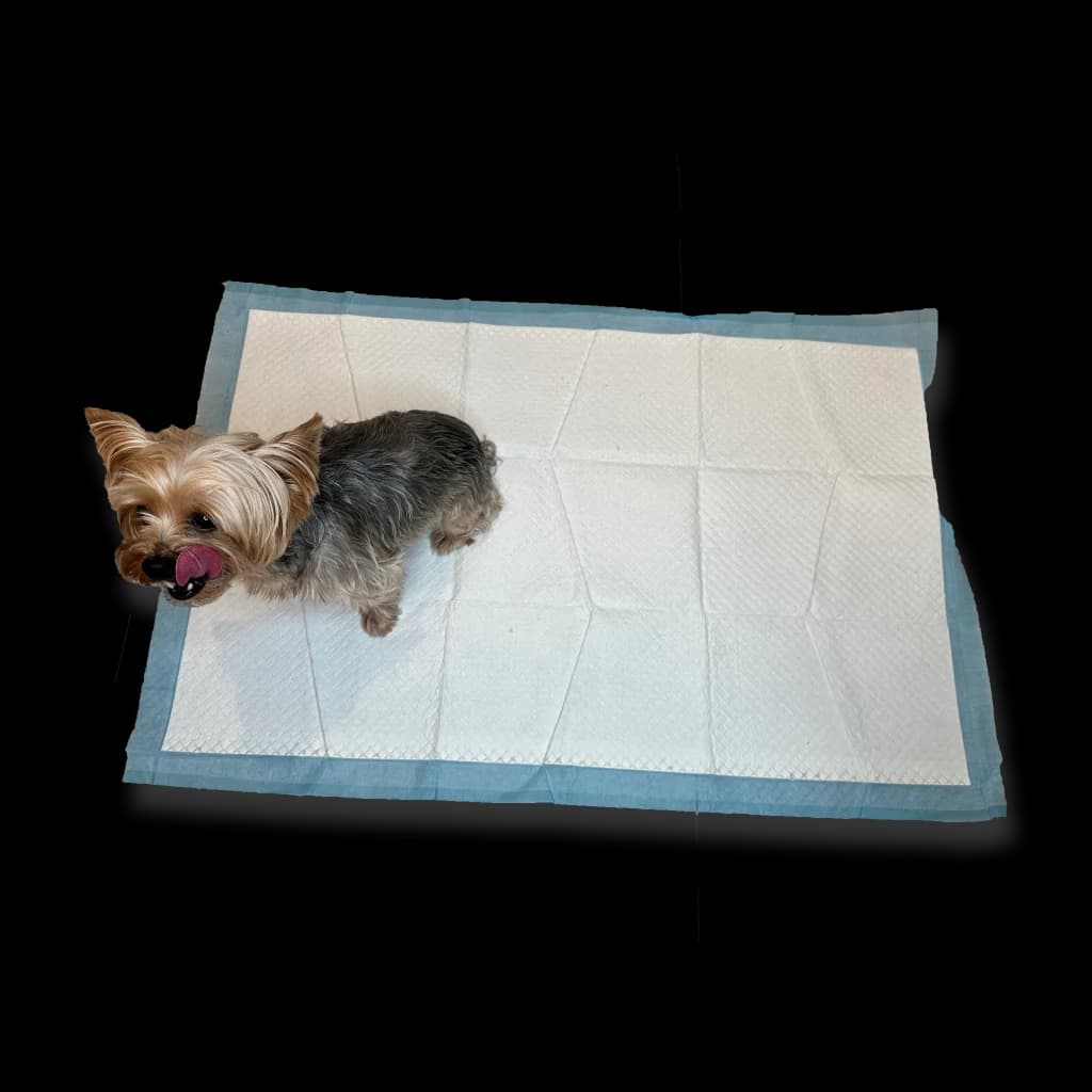 Pet Training Pads