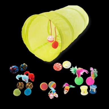 Cat Toy Set - 21 Pieces
