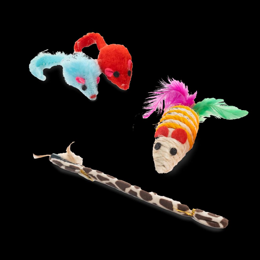 Cat Toy Set - 21 Pieces