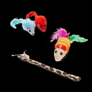 Cat Toy Set - 21 Pieces