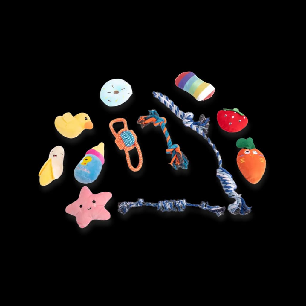 Puppy Training Toys - 12 Pieces