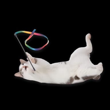 Cat Toy Set - 24 Pieces with T-Tunnel