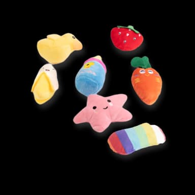 Puppy Training Toys - 12 Pieces