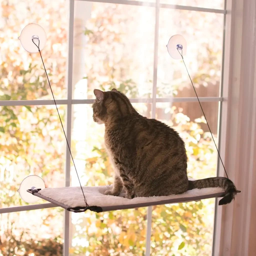Window Cat Platform