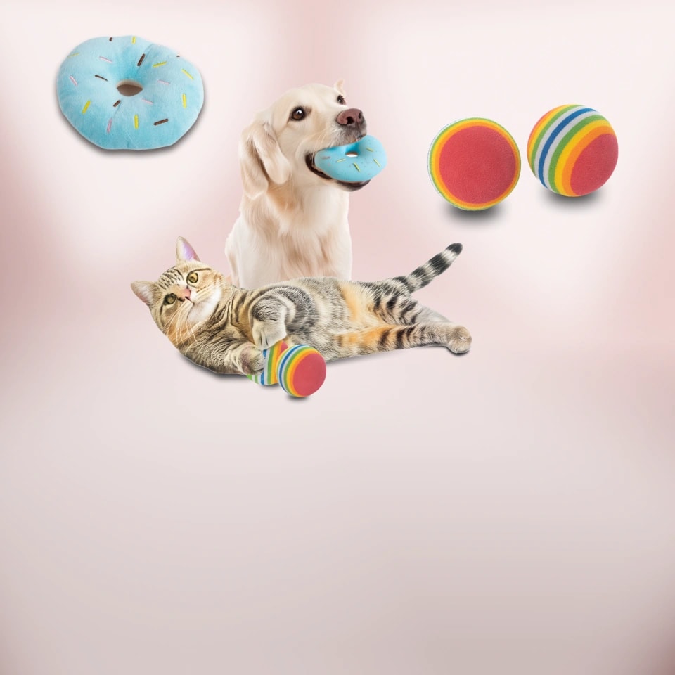 With gudyz, you can pamper your pets