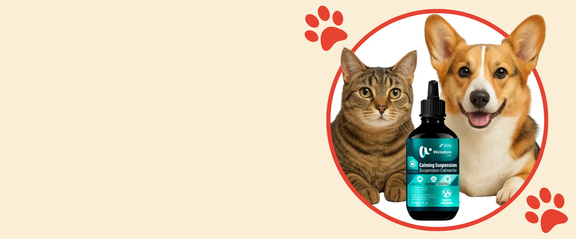 Paws & Calm!