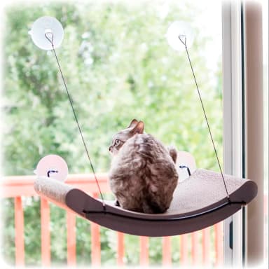 Mounted Cat Scratch Pad