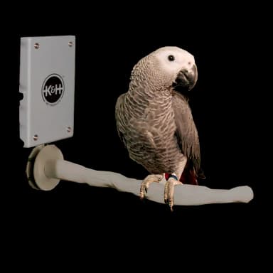 KH Snuggle-Up Bird Warmer – Gray