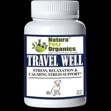 Calm Quest Travel Support