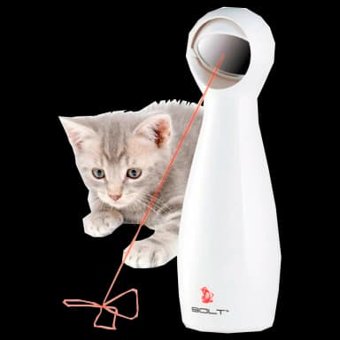 Laser Motion Cat Toy