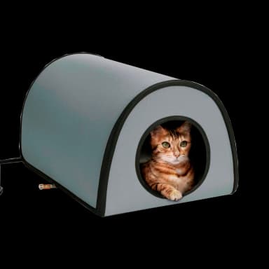 Cat Shelter Home