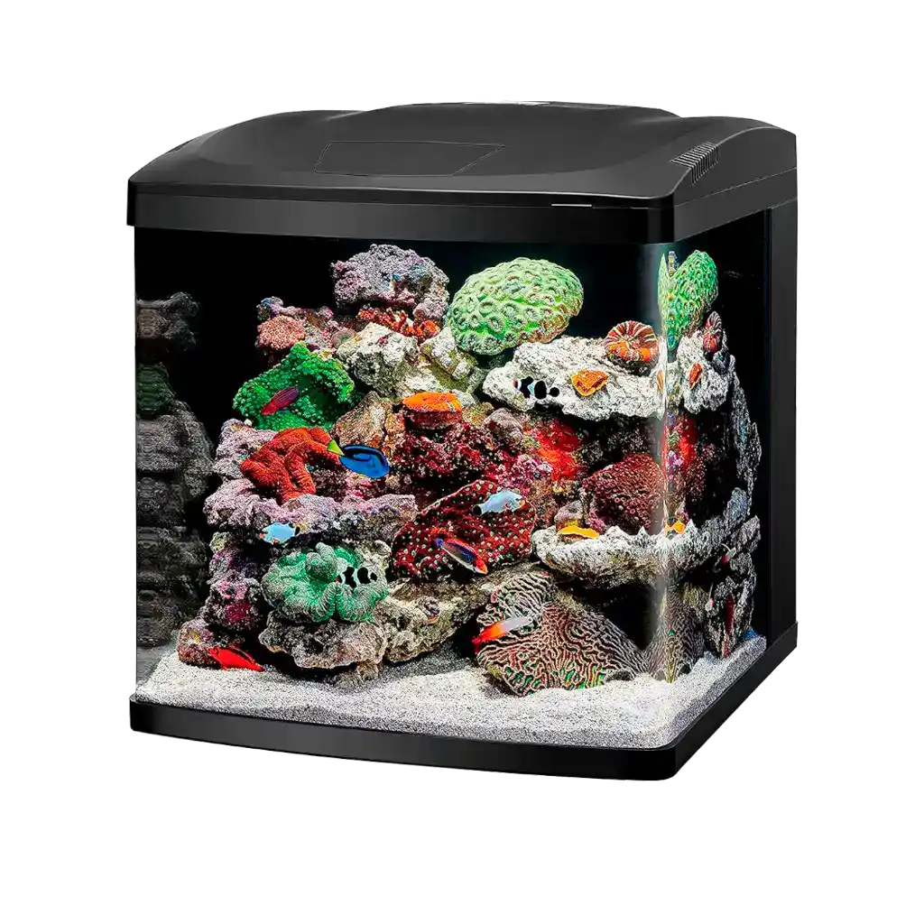 AquaGlow BioCube 32 LED Aquarium Kit