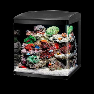 AquaGlow BioCube 32 LED Aquarium Kit