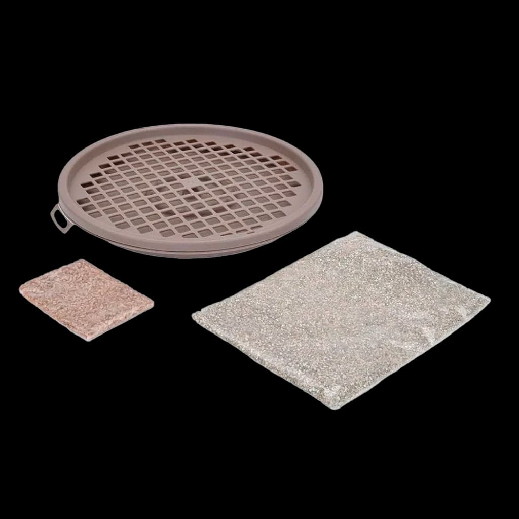 Fresh Cat Grass Tray