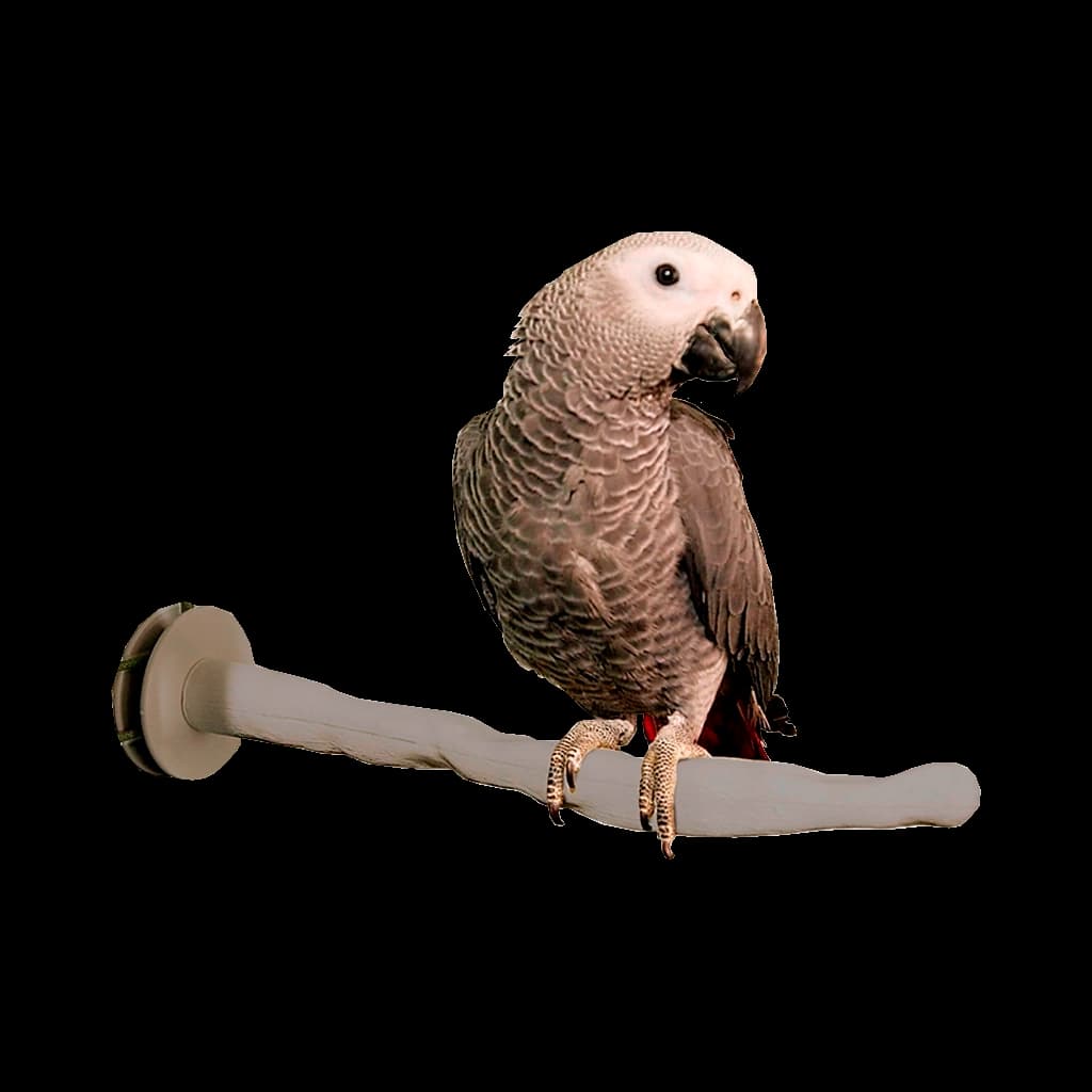 Comfort Bird Perch – Thermo Design